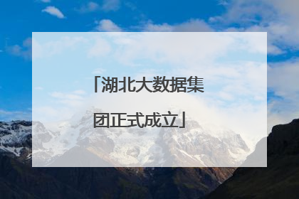 湖北大数据集团正式成立