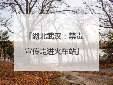 湖北武汉：禁毒宣传走进火车站