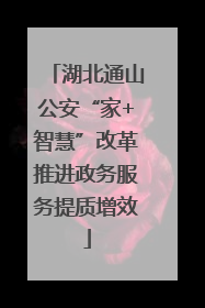 湖北通山公安“家+智慧”改革推进政务服务提质增效