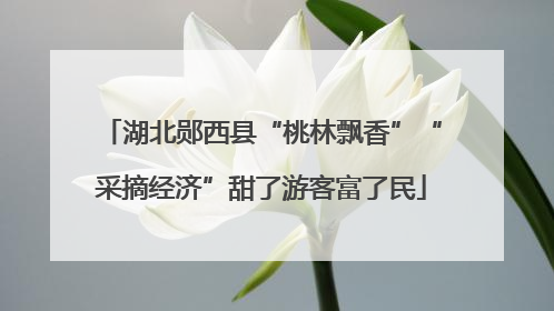 湖北郧西县“桃林飘香”“采摘经济”甜了游客富了民