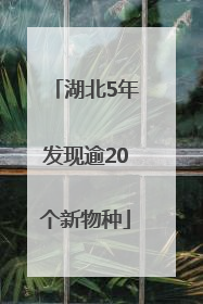 湖北5年发现逾20个新物种