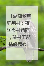湖潮乡芦猫塘村：夜访乡村巷陌，驻村干部情暖民心