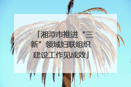 湘潭市推进“三新”领域妇联组织建设工作见成效