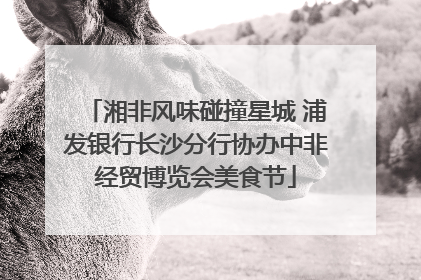 湘非风味碰撞星城 浦发银行长沙分行协办中非经贸博览会美食节