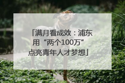 满月看成效：浦东用“两个100万”点亮青年人才梦想