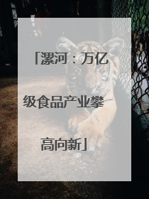 漯河：万亿级食品产业攀高向新