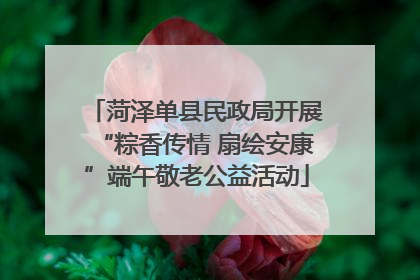 菏泽单县民政局开展“粽香传情 扇绘安康”端午敬老公益活动