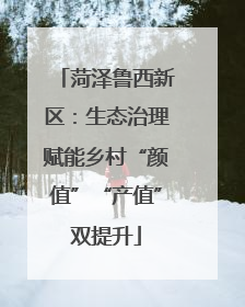 菏泽鲁西新区：生态治理赋能乡村“颜值”“产值”双提升
