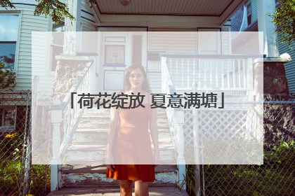 荷花绽放 夏意满塘