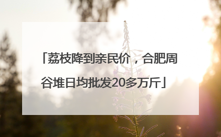 荔枝降到亲民价，合肥周谷堆日均批发20多万斤