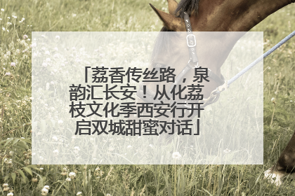 荔香传丝路，泉韵汇长安！从化荔枝文化季西安行开启双城甜蜜对话