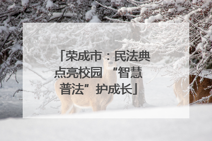 荣成市：民法典点亮校园 “智慧普法”护成长