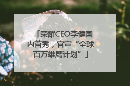 荣耀CEO李健国内首秀，官宣“全球百万雄鹰计划”