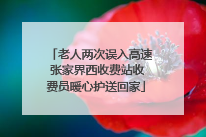 老人两次误入高速 张家界西收费站收费员暖心护送回家