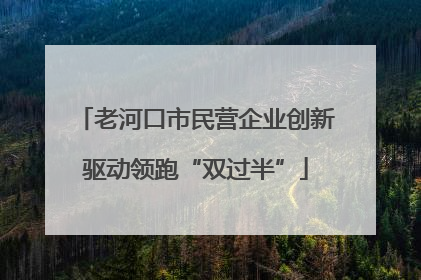 老河口市民营企业创新驱动领跑“双过半”