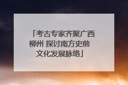 考古专家齐聚广西柳州 探讨南方史前文化发展脉络