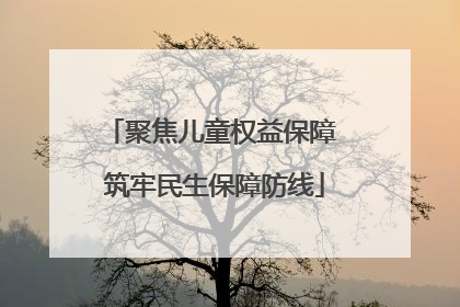 聚焦儿童权益保障 筑牢民生保障防线