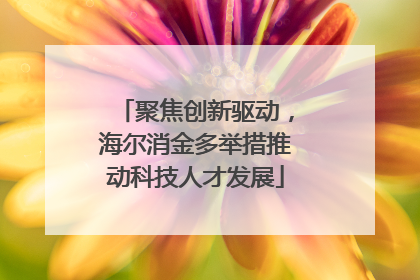聚焦创新驱动，海尔消金多举措推动科技人才发展