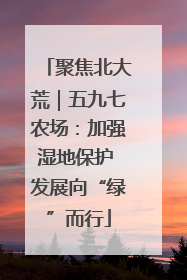 聚焦北大荒｜五九七农场：加强湿地保护 发展向“绿”而行
