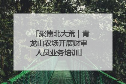 聚焦北大荒｜青龙山农场开展财审人员业务培训