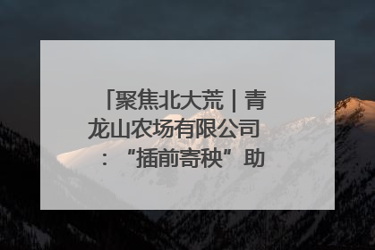 聚焦北大荒｜青龙山农场有限公司：“插前寄秧”助力农业节本增效
