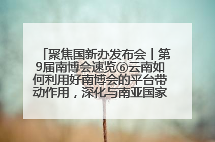 聚焦国新办发布会丨第9届南博会速览⑥云南如何利用好南博会的平台带动作用，深化与南亚国家的交流与合作？