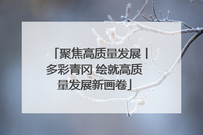 聚焦高质量发展丨多彩青冈 绘就高质量发展新画卷