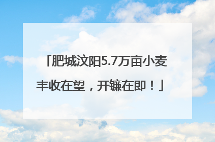 肥城汶阳5.7万亩小麦丰收在望，开镰在即！