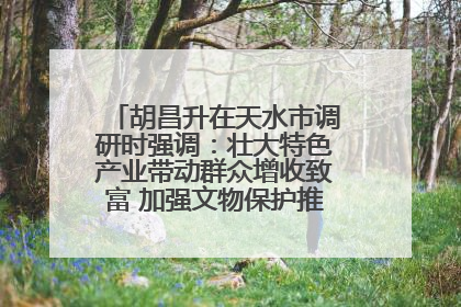胡昌升在天水市调研时强调：壮大特色产业带动群众增收致富 加强文物保护推动文化创新发展
