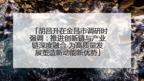 胡昌升在金昌市调研时强调：推进创新链与产业链深度融合 为高质量发展塑造新动能新优势
