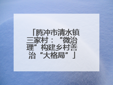 腾冲市清水镇三家村：“微治理”构建乡村善治“大格局”