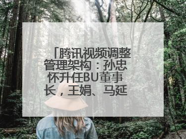 腾讯视频调整管理架构：孙忠怀升任BU董事长，王娟、马延琨任联席总裁