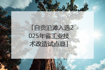 自贡沿滩入选2025年省工业技术改造试点县