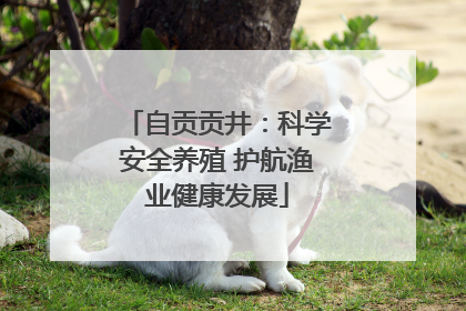 自贡贡井：科学安全养殖 护航渔业健康发展