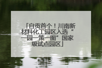自贡首个！川南新材料化工园区入选“一园一策一图”国家级试点园区