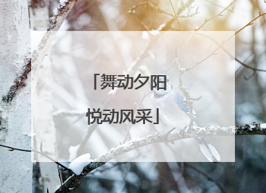 舞动夕阳 悦动风采