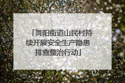 舞阳街道山民村持续开展安全生产隐患排查整治行动