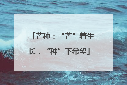 芒种：“芒”着生长，“种”下希望