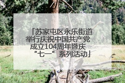 苏家屯区永乐街道举行庆祝中国共产党成立104周年暨庆“七一”系列活动
