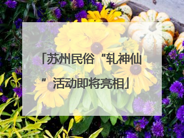 苏州民俗“轧神仙”活动即将亮相