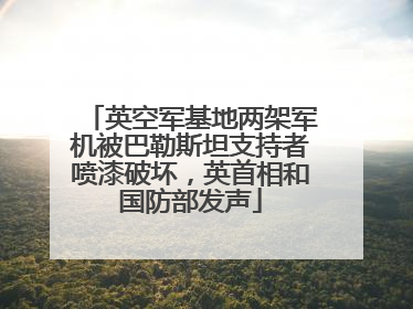 英空军基地两架军机被巴勒斯坦支持者喷漆破坏，英首相和国防部发声