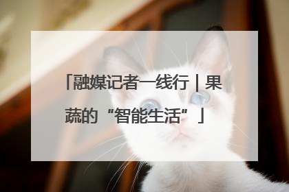 融媒记者一线行｜果蔬的“智能生活”