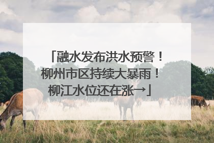 融水发布洪水预警！柳州市区持续大暴雨！柳江水位还在涨→