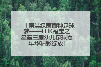 萌娃绿茵播种足球梦——LHK福宝之星第三届幼儿足球嘉年华精彩绽放