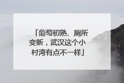 葡萄初熟、厕所变新，武汉这个小村湾有点不一样