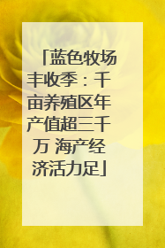 蓝色牧场丰收季：千亩养殖区年产值超三千万 海产经济活力足