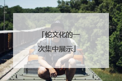 蛇文化的一次集中展示