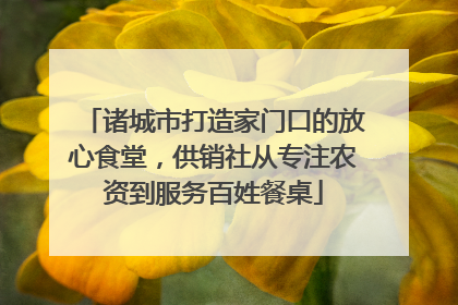 诸城市打造家门口的放心食堂，供销社从专注农资到服务百姓餐桌