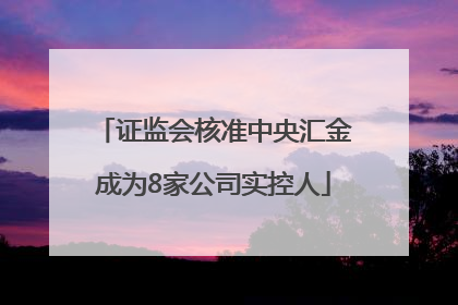 证监会核准中央汇金成为8家公司实控人