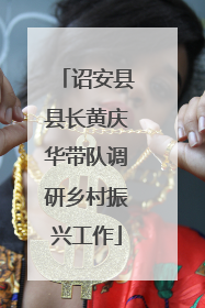 诏安县县长黄庆华带队调研乡村振兴工作